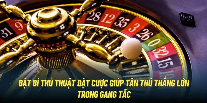 Bật bí thủ thuật đặt cược giúp tân thủ thắng lớn trong gang tấc