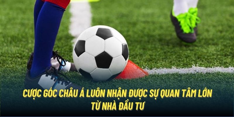 Cược góc châu Á luôn nhận được sự quan tâm lớn từ nhà đầu tư