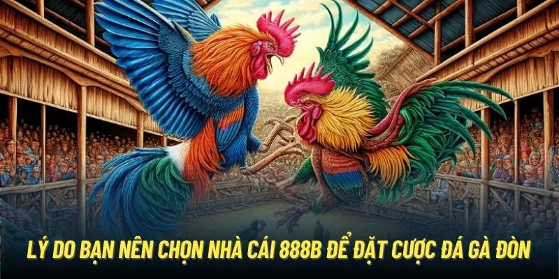 Lý do bạn nên chọn nhà cái 888B để đặt cược đá gà đòn