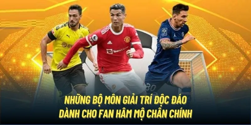 Những bộ môn giải trí độc đáo dành cho fan hâm mộ chân chính