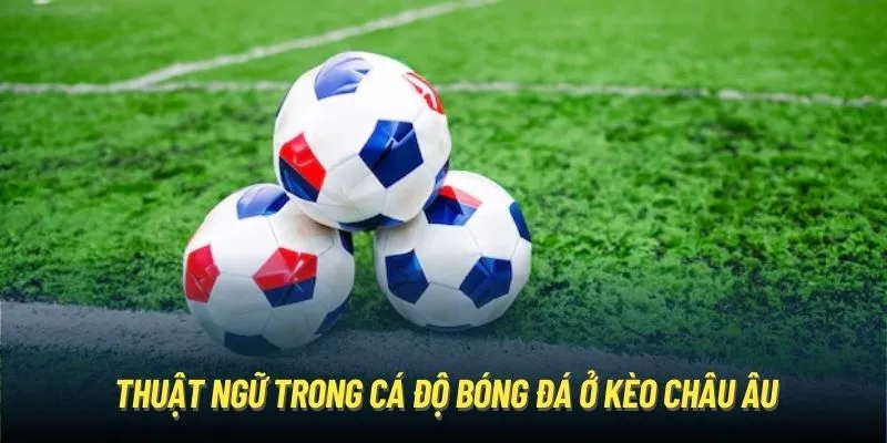 Thuật ngữ trong cá độ bóng đá ở kèo châu Âu